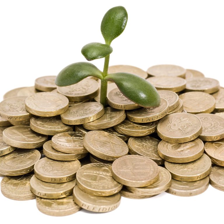 due diligence and company creation